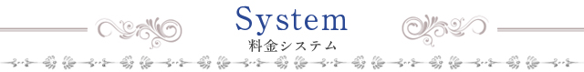 「System Title」